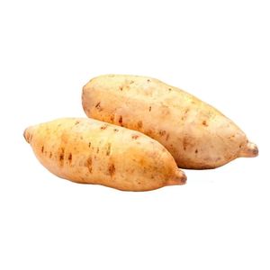 Batata Doce Branca