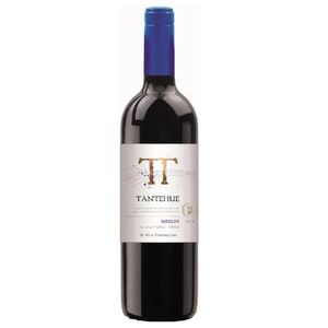 Vinho Chileno Viña Ventisquero Tantehue Merlot 750ml