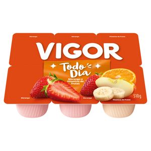 Bebida Láctea Vigor Todo Dia Fermentada Morango + Vitamina de Frutas Bandeja 510g c/ 6 Unid